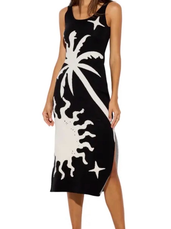 Spiritual Gangster Dresses & Skirts - Spiritual‎ Gangster Yasmin Sundrift Jacquard Dress